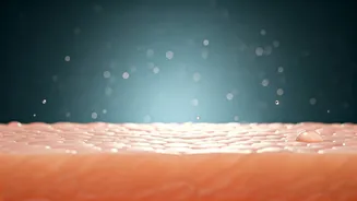 Humidity Makes Skin Barrier Protection Crucial