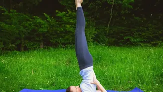 How Yoga Makes You More Flexible Simple Daily Asanas Beginners Master Fast Always