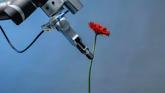 The Next Generation Of Climate Research Is Powered By AI