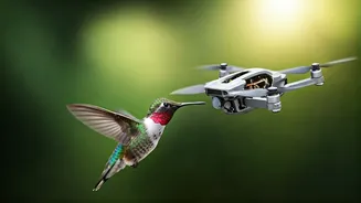 Hummingbird Flight: Inspiring Bio-Inspired Drones
