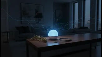 Needs A Reset Around Passwords, Firmware And Remote Access: What It Means For Privacy And Safety In Connected Homes