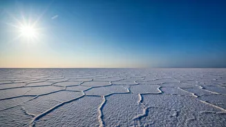 Explore the Rann of Kutch: Gujarat's Majestic Desert