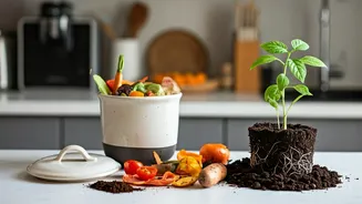Composted Scraps Are Turning Kitchens More Circular