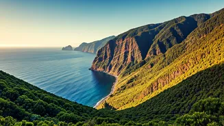 Madeira: Your Atlantic Sanctuary for Nervous System Reset