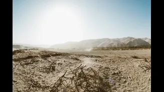 Loo Winds: Hot and Dry Winds in Northern India