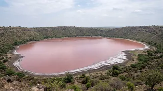The Green-to-Pink Shift at Lonar Lake Is Not a Permanent Change