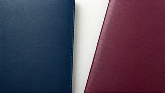 India's Passport Colours Have Very Different Meanings