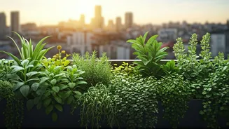 Gardens Are Winning In Cities
