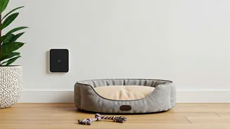 Indian Pet Parents Want Smarter Living Spaces