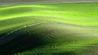 Why Space-Based Crop Monitoring Is Becoming More Useful