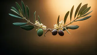 Unveiling Greek Wedding Charms: Ancient Rituals for a Blissful Union