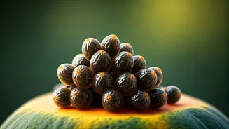 Unlocking the Power of Papaya Seeds: Surprising Health Perks You Can't Ignore!