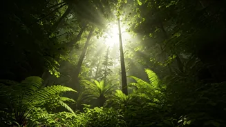 Unlock Longevity: The Simple Habit of Nature Immersion for a Healthier, Longer Life