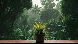 Monsoon Trips Feel Better With Local Hosts