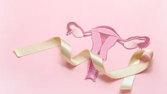 Endometriose: teoria criada por médico brasileiro ajuda a entender por que a dor pode irradiar pelo corpo
