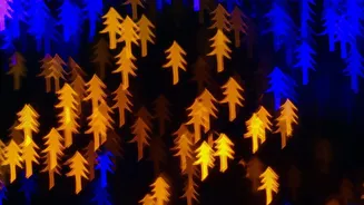 Replacing Disposable Plastic Items With LED Copper Lights Makes Festive Decor Sustainable