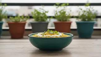 Urban Balcony Herb Gardens Are Becoming A Favourite Monsoon Hobby Across Indian Cities