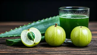 Amla & Aloe Vera: Your Ultimate Hair Fall Remedy