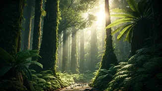 Rain-Washed Forests Make Monsoon Travel Worth It