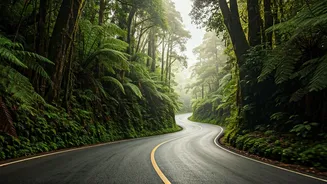 Conquer 293 Curves: Australia's Gillies Highway - A Rainforest & Crater Lake Adventure
