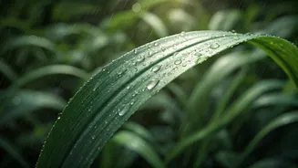 Acne During Monsoon Needs A Fresh Strategy