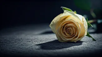 Allegations of Dowry Harassment Precede Tragic Death in Greater Noida