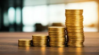 Income Tax Wishlist: Reforms for FY2025-26