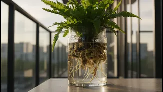 Wet Balconies Can Damage Roots Faster Than Plant Parents Realise