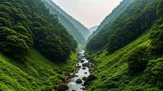 Summer Planning Starts With Quiet, Green, Cool