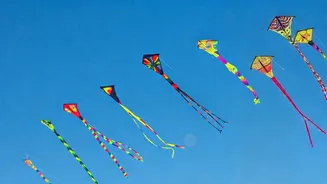 Makar Sankranti Celebrations: Traditions, Rituals & Dishes