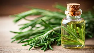 Rosemary Can Boost Your Hair and Skin Health