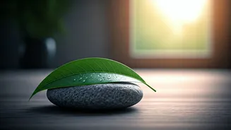 Meditation Myths Are Blocking Your Reset Routine