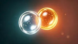 Niacinamide And Vitamin C Complement Each Other