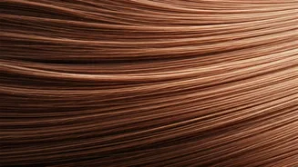 Top 6 Hair Color Products for Stunning Shine & Health