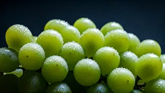 Unveiling the Hydration and Health Benefits of Green Grapes