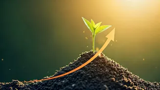Growth Is The Career Flex Young India Wants