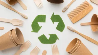 If eco-friendly products interest you, keep reading