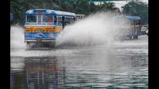 Southwest monsoon advances into West Bengal and Bihar today: IMD's daily map keeps pushing east