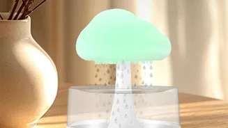 Monsoon Home Ventilation Explained: Rain, Humidity And Indoor Air