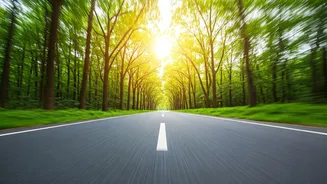 Reverse Walking: Amazing Benefits for Body and Mind