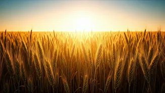 Baisakhi 2026: Unveiling the Date, Rich History, and Vibrant Celebrations