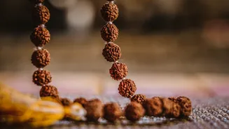 Understanding Different Types of Rudrakshas and the Meaning Behind Every Mukhi
