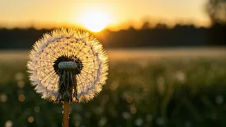 Unlock Your Potential: The Power of 5 AM Affirmations for Daily Growth