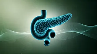 Understanding Type 2 Diabetes: India's Silent Epidemic, Symptoms, Causes & Prevention