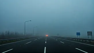 Gurugram's Cold Snap: Fog & Low Visibility