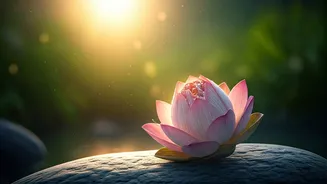 Sister Shivani's Wisdom: Forgiveness as Self-Healing for Moms