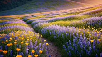 Flower Trails Give Nature Trips A Fresh Hook