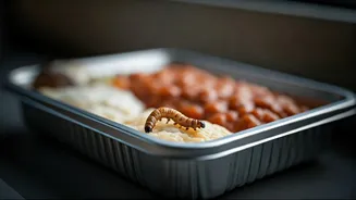 Worms in Vande Bharat Meal: Indian Railways Fines Vendor Rs 50 Lakh, Terminates Contract