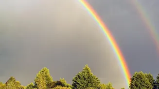 NASA's New Fire Rainbow Picture Gives Skywatchers a Reason to Review Atmospheric Optics