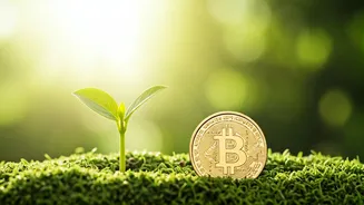 Cancer Horoscope: Embrace Opportunities (January 13, 2026)